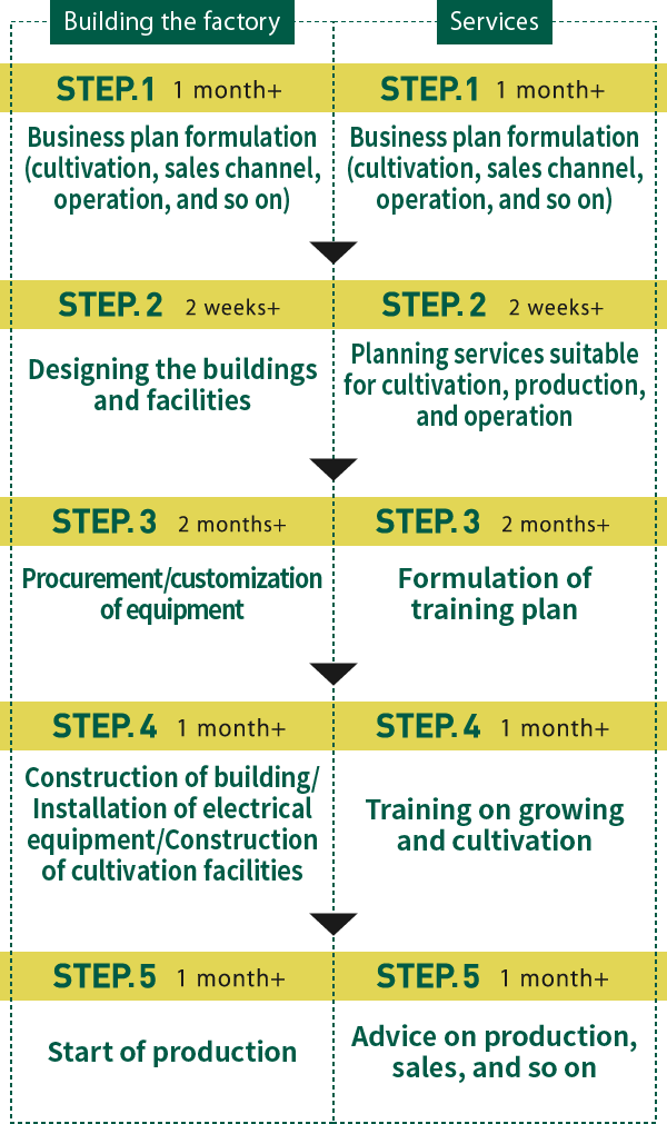 Key steps to start of operations