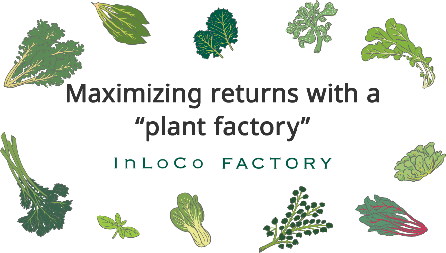 Maximizing returns with a “plant factory” InLoCo FACTORY